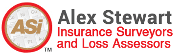 Alex Stewart International India